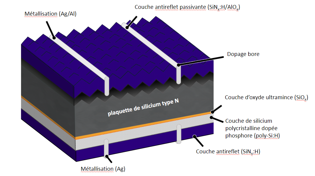 visuel cellule